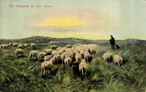 Künstler Ak De schapen in het Duin, Hirte