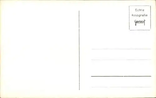 Ak Terrier, Hund, Portrait