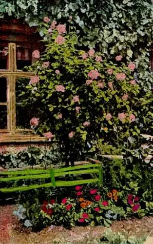 Material Ak Garten, Rosenstamm, Rosen, Wohnhaus