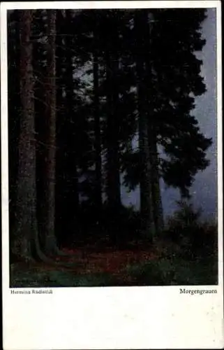 Künstler Ak Rüdisühli, H., Morgengrauen, Wald, Bäume