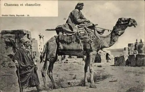 Ak Maghreb, Araber auf Kamel reitend