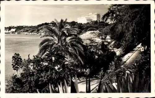 Ak Dakar Senegal, Strandpromenade, Palme, Gebäude im Hintergrund