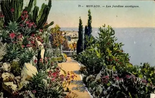 Ak Monaco, Exotische Gärten, Blumen, Weg, Küstenblick