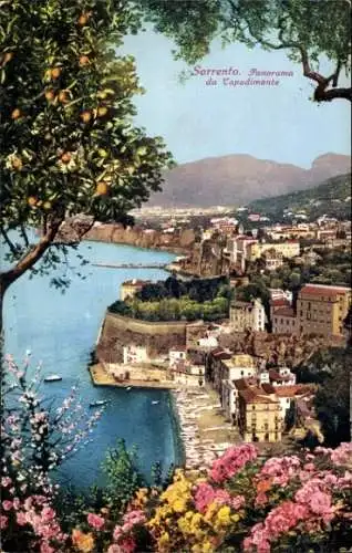 Ak Sorrento Campania, Panoramablick auf  Küste, Strand, Blumen, Olivenbaum