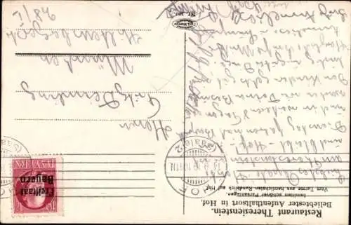 Ak Hof in Bayern, Restaurant Theresienstein, Turm