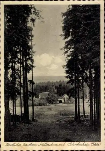 Ak Blankenhain in Thüringen, Staatliches Gasthaus Müllershausen,  Hochwald, Sommerfrische, Park