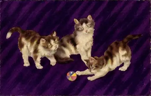 Ak Drei Katzen beim Spielen, Hauskatzen