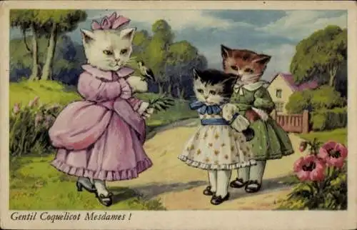 Ak Vermenschlichte Katzen, Gentil Coquelicot Mesdames