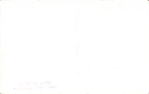 Foto Hunde, Cocker Spaniel, Portrait