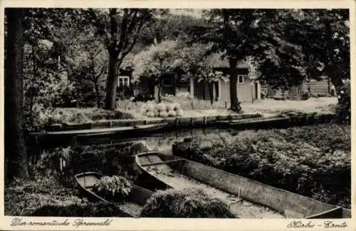 Ak Spreewald, Kürbis-Ernte, Ruderboote