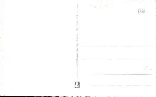 Ak Hirsche in freier Wildbahn