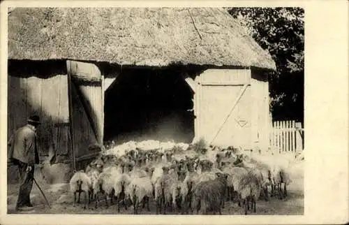 Ak Schafherde vor einer Scheune, Schäfer