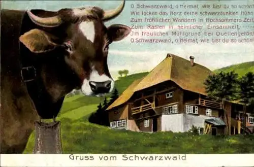 Ak Schwarzwald, Wohnhaus, Kuh, Glocke