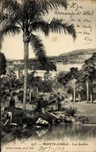 Ak Monte Carlo Monaco, Palmen, Garten, Hotelansicht,  20/1/03
