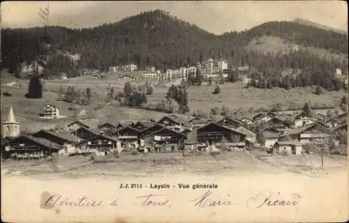 Ak Leysin Kanton Waadt, Schöne Aussicht auf  Berge, Hotel, traditionelle Chalets