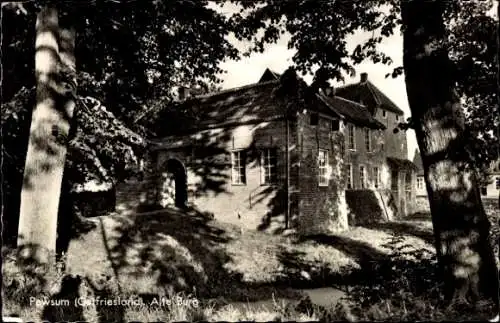 Ak Pewsum Krummhörn in Ostfriesland, Alte Burg