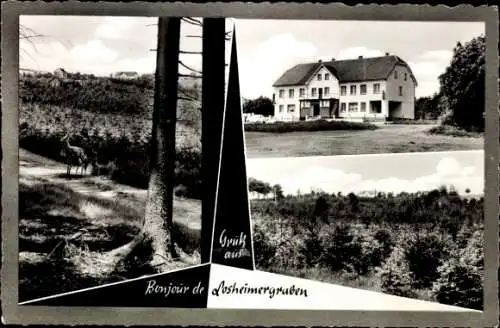 Ak Losheimergraben Hellenthal in der Eifel, Hotel Schröder