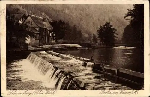 Ak Schwarzburg in Thüringen, Teilansicht, Wasserfall