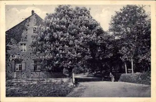 Ak Bassenheim in Rheinland Pfalz, Restaurant zur Waldmühle,  Baum, Mensch auf Motorrad