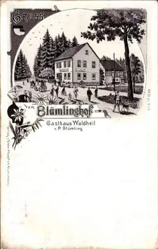 Litho Völkenroth Bell Hunsrück Rheinland Pfalz, Greiserhof, Gasthaus Waldheil, Inh. P. Blümling