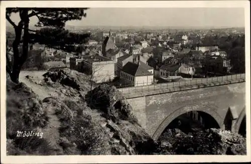 Ak Mödling in Niederösterreich, Teilansicht