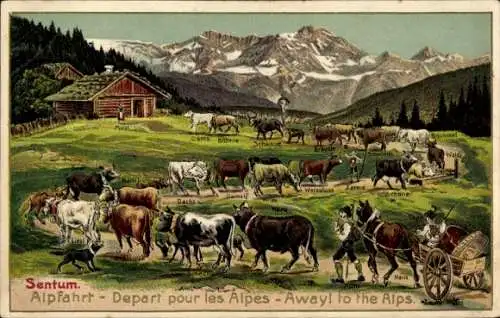 Präge Ak Schweiz, Alpfahrt, Départ pour les Alpes, Kühe