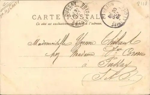 Passepartout Litho Zwei Katzen mit Halsband, Blumen