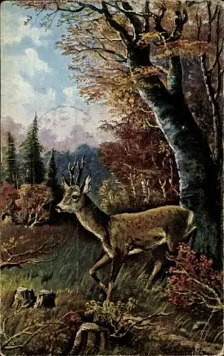 Künstler Ak Junger Hirsch im Wald