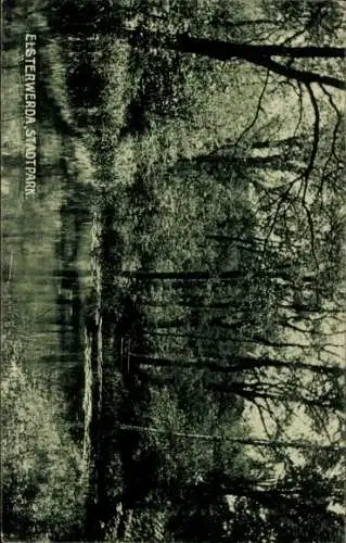 Ak Elsterwerda in Brandenburg, Stadtpark, Wasserfläche, Bäume, Schatten