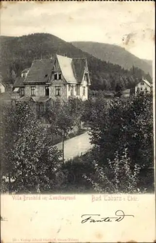 Ak Cabarz Tabarz im Thüringer Wald, Villa Brunhild, Lauchagrund,  Natur, Architektur
