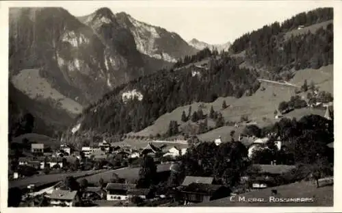 Ak Rossinière Kanton Waadt, Gebirgige Landschaft, Häuser, Berge, Wald