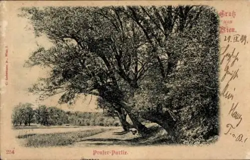 Ak Rabenstein an der Pielach in Niederösterreich, Landschaft mit Bäumen, Gewässer, Prater-Partie,