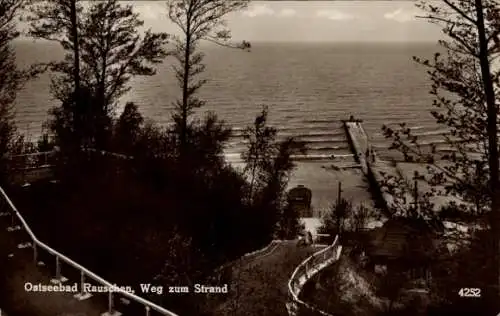 Ak Swetlogorsk Ostseebad Rauschen Ostpreußen,  Weg zum Strand, Blick auf Meer, Steg