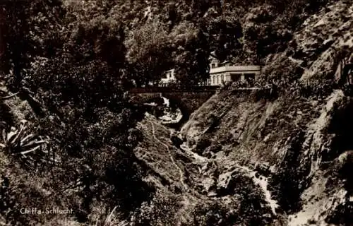 Ak Gorges de la Chiffa Algerien, Schlucht, Landschaft, Gebirge, Natur, 