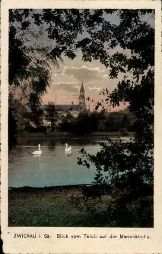 Ak Zwickau in Sachsen, Blick vom Teich auf die Marienkirche