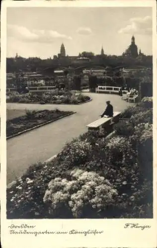 Ak Dresden Altstadt Friedrichstadt, Staudengarten, Königufer, blühende Pflanzen, Person auf Ba...