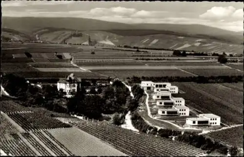 Ak Erbach im Rheingau Eltville am Rhein Hessen, Kinderort Marienhöhe