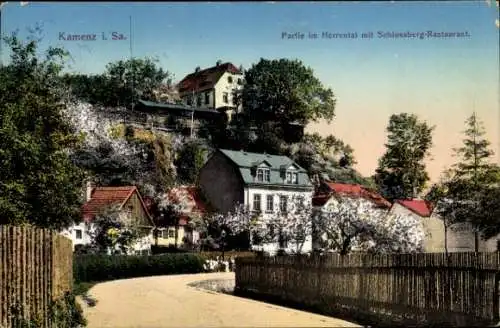 Ak Kamenz in Sachsen, Vorderseite: Stadtansicht, Herrental, Schlossberg-Restaurant, blühende B...