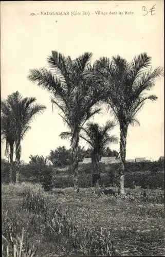 Ak Toamasina Tamatave Madagaskar, Palmen, Dorf, Rafia, Côte Est