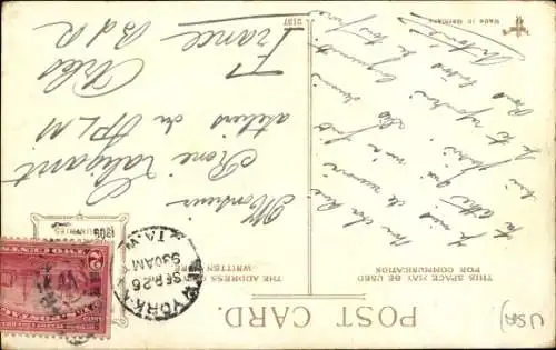 Ak New York USA, New Plaza Hotel