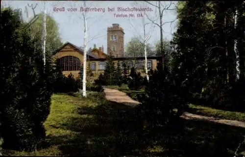 Ak Bischofswerda in Sachsen, Naturszenen, Gebäude, Bäume, Grüner Weg