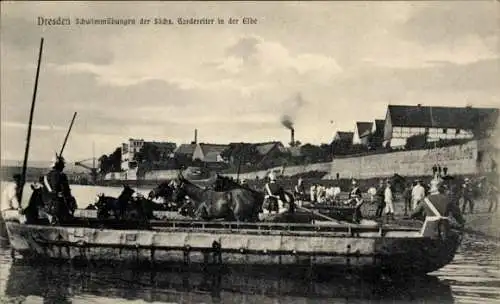 Ak Dresden, Schwimmübungen der Sächs. Gardereiter in der Elbe