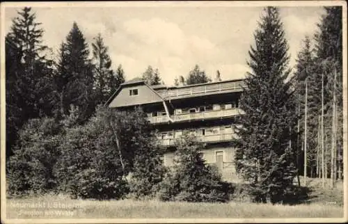 Ak Neuberg an der Mürz Steiermark, Pension am Walde,  Waldhäuser, Foto
