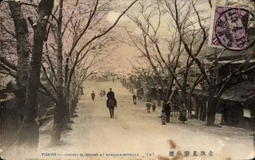 Ak Akasaka Tokyo Tokio Japan, Kirschblüten, Akasaka-Mitsuke, Menschen, Pferd, Architektur