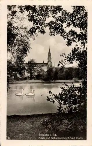 Ak Zwickau in Sachsen, Schwanenteich und Marienkirche