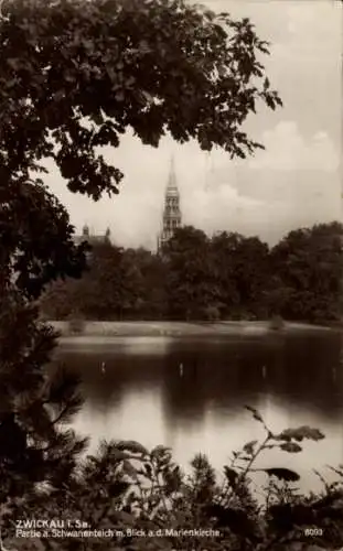 Ak Zwickau in Sachsen, Partie a. Schwanenteich m. Blick a.d. Marienkirche.