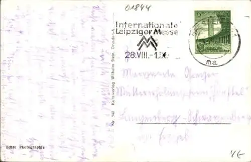 Ak Neustadt in Sachsen, Stadtpark, Schwäne