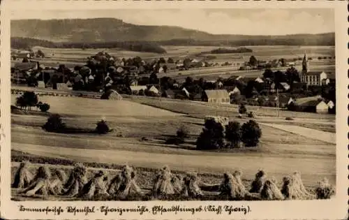 Ak Rosenthal Bielatal Sächsische Schweiz, Gesamtansicht, Schweizermühle