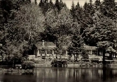 Ak Frauenwald am Rennsteig Ilmenau in Thüringen, Landschaft mit Haus am Wasser, viele Bäume, N...