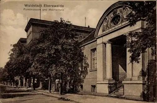 Ak Eberswalde in der Mark, Forstmuseum und Hochschule